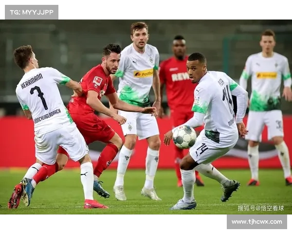 德甲联赛上座率分析及其对球队表现和观众文化的影响 德甲联赛上座率分析及其对球队表现和观众文化的影响