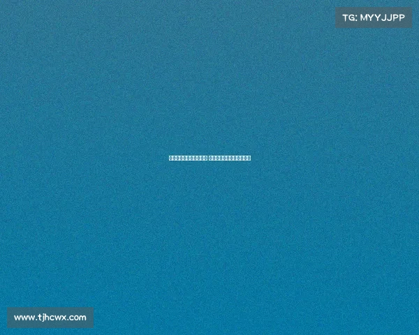 德甲夏季转会窗即将关闭 多支球队加速引援争夺新星